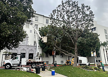 Ontario Tree Services Empire Tree Service