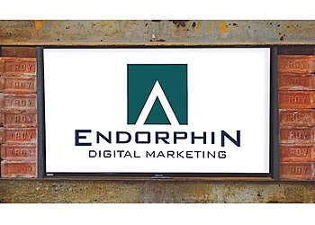 Albany Advertising Agencies Endorphin Digital Marketing