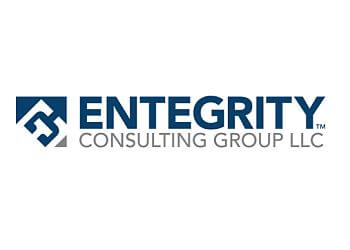 Entegrity Consulting Group LLC