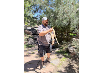 Lakewood Animal Removal EnviroCritter