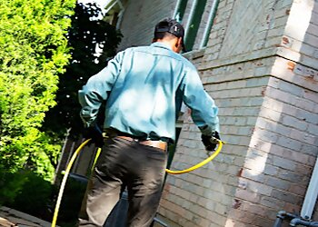 Thornton Pest Control Companies EnviroPest Thornton