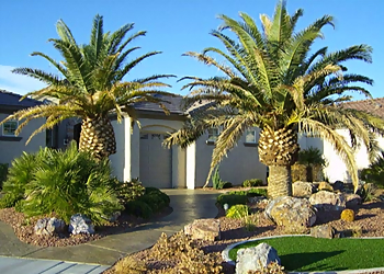 Glendale Landscaping Companies EnviroScape Services LLC