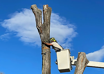Environmental Tree Care LLC - Lakewood, CO Tree Services - Team Working Image