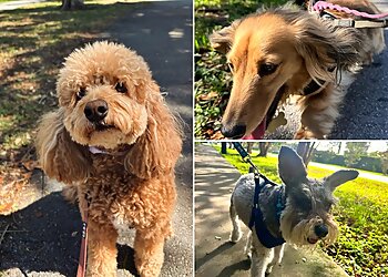 Hialeah Dog Walkers Equipaws Pet Services