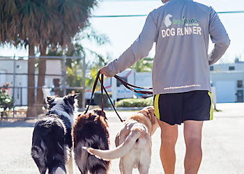 Equipaws Pet Services LLC Equipaws Pet Services LLC - Miami, FL Dog Walkers - Work Image