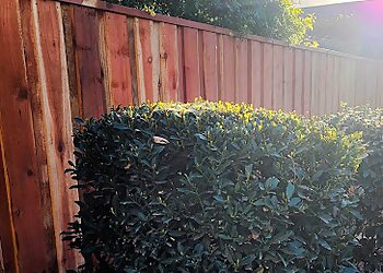 Fresno Fencing Contractors Ergeon Fence