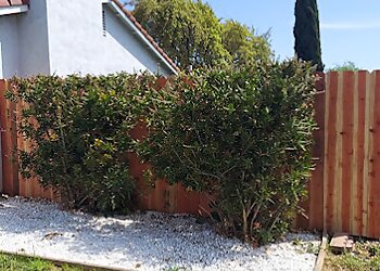 San Francisco Fencing Contractors Ergeon Inc