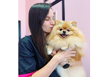 Plano Pet Grooming Erika Ashley’s Elite Dog Grooming