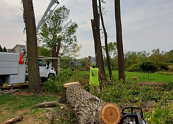 Cedar Rapids Tree Services Erlacher's Tree Service