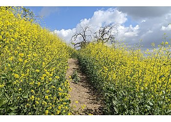 Los Angeles Hiking Trails Ernest E. Debs Regional Park