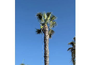 Escalante Tree Service - Simi Valley, CA Tree Services - Team Working Image