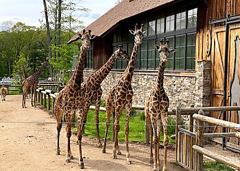 Newark Places To See Essex County Turtle Back Zoo