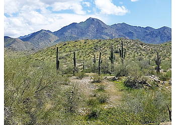 Surprise Hiking Trails Estrella Mountain Regional Park
