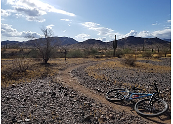 Surprise Hiking Trails Estrella Mountain Regional Park