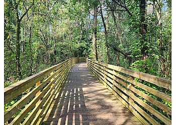 Tampa Hiking Trails Eureka Springs Park