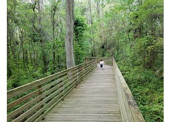 3 Best Hiking Trails in Tampa, FL - Expert Recommendations