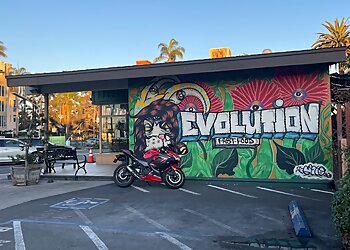 San Diego Vegetarian Restaurants Evolution