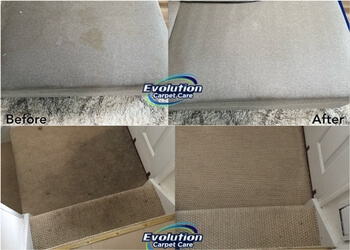 Yonkers Carpet Cleaners Evolution Carpet Care