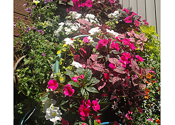 Evolution Earthscapes, LLC - Springfield, MA Landscaping Companies - Service Highlights
