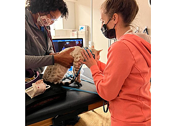 Lakewood Veterinary Clinics Evolution Veterinary Specialty and Emergency Hospital