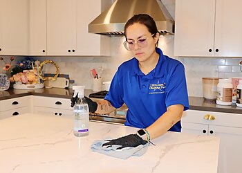 Santa Clarita House Cleaning Services Excellence Cleaning Pros