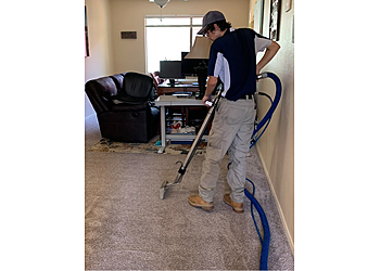 Glendale Carpet Cleaners Executive Carpet Services