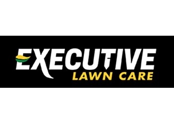 Frisco Lawn Care Services Executive Lawn Care