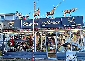 Boston Florists Exotic Flowers