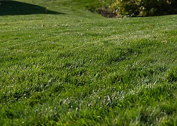 Indianapolis Lawn Care Services ExperiGreen Lawn Care