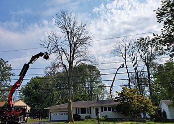 Rochester Tree Services Expert Tree Service