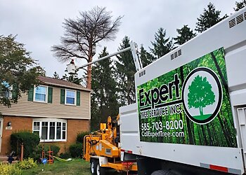 Rochester Tree Services Expert Tree Service