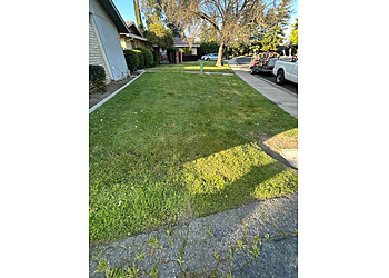 Modesto Landscaping Companies Exterior Solutions Lawn And Landscape