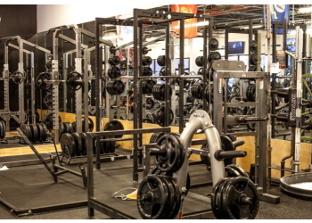 3 Best Gyms in Dallas, TX - Expert Recommendations