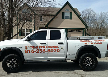 3 Best Pest Control Companies in Independence, MO - Expert Recommendations