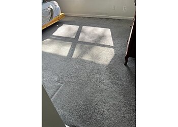 Hampton Carpet Cleaners Extremely Clean Carpets & Services