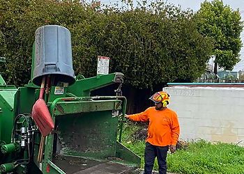 Vallejo Tree Services Ez Tree Inc.