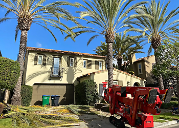 Costa Mesa Landscaping Companies FNL Landscaping