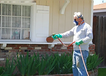 Simi Valley Pest Control Companies Facility Pest Control Simi Valley