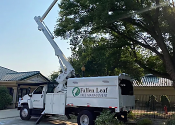 Fallen Leaf Tree Sacramento Tree Services image 1
