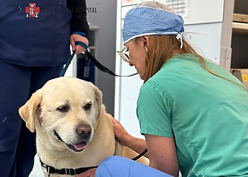 Costa Mesa Veterinary Clinics Family Animal Hospital