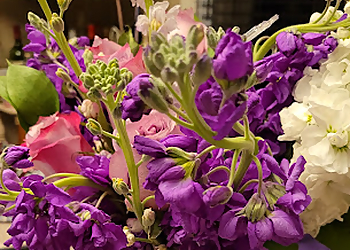 Family Florist - Bridgeport, CT Florists - Bouquet Image