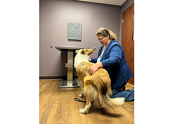 South Bend Veterinary Clinics Family Pet Health Center