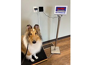 South Bend Veterinary Clinics Family Pet Health Center