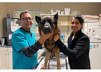 Fort Lauderdale Veterinary Clinics Family Pet Medical Center