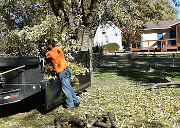 Topeka Tree Services Family Tree Care