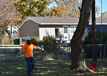 Topeka Tree Services Family Tree Care