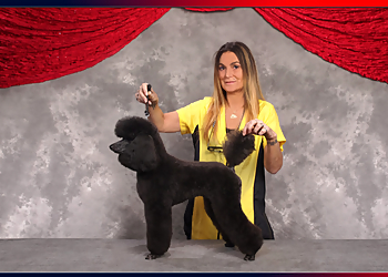 Lowell Pet Grooming Fancytails Grooming