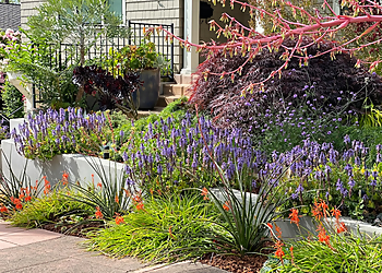 Berkeley Landscaping Companies Farallon Gardens