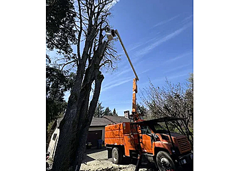 Felling Bros Tree Services LLC - Kent, WA Tree Services - Service Vehicle Image