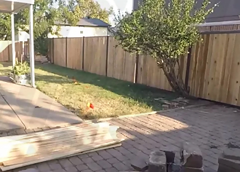 Fencing Gresham Oregon - Gresham, OR Fencing Contractors - Service Highlights